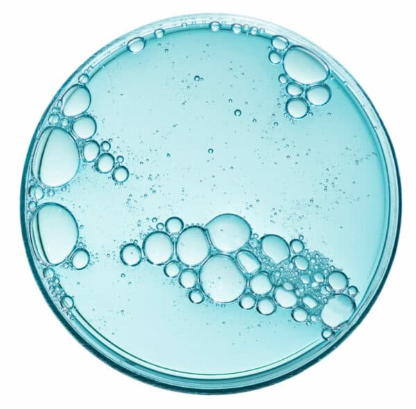Boîte de Petri abstraite avec liquide cosmétique ou médical isolée sur